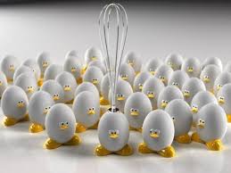 Image result for egg retrieval