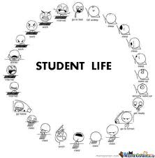 Image result for student meme