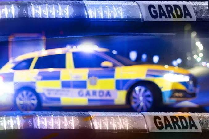 Two men in their 20s due in court over Dublin business park brawl that left another man in critical condition; Gardaí continue investigation