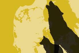 Hanulv har levet »ungkarle«-tilværelse i ni år. Nu tyder alt på, at den vil give ny landsdel sin første ulveflok