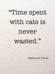 Cat Love Quotes. QuotesGram via Relatably.com