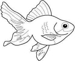 fish coloring pages ile ilgili görsel sonucu