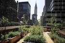 Urban Farming Is Growing a Green Future - National Geographic