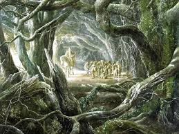 Image result for ireland fairies real