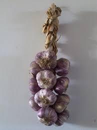 Résultat de recherche d'images pour "nouer l'ail"