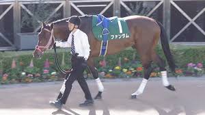 京王杯スプリングカップ・出走馬情報