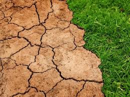 El Niño deve durar pelo menos 9 meses e afetar todo o ciclo da soja 26/27
