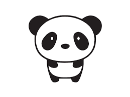 Image result for panda