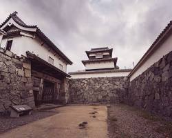 couple enjoying a picnic lunch on the grounds of Fukuoka Castle Ruins, with the castle walls in the background.の画像