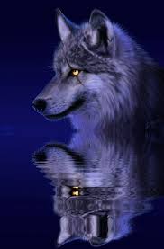 Résultat de recherche d'images pour "gifs gratuits coucou bisous animaux  humour"