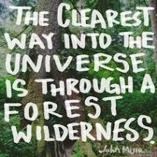 Forest John Muir Quotes. QuotesGram via Relatably.com