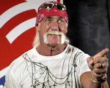 Image of Hulk Hogan wrestler