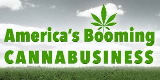 Image result for legal marijuana business