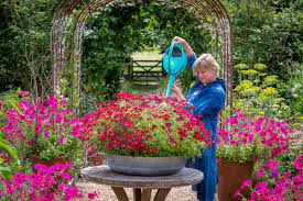 Gardenforum - News update