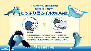 名古屋港水族館 - News update
