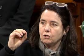 ¡Escándalo! Senadora Cuestiona el Derecho a Atenderse en el Garrahan - Imagen principal del artículo