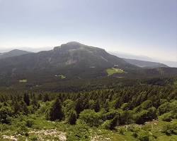 Image de Forêt de hêtres de la Grande Chartreuse