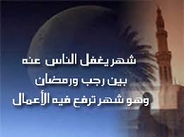 اضغط على الصورة لرؤيتها بالحجم الطبيعي