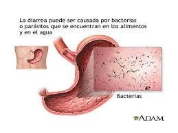 Resultado de imagen para ANTIDIARREICOS