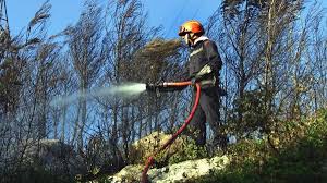 Un corps calciné découvert dans un massif forestier près de Marseille