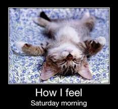 Saturday morning quotes cute kitten days of the week saturday ... via Relatably.com