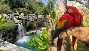 La increíble promesa mundialista para entrar a Xcaret gratis si México llega a cuartos de final