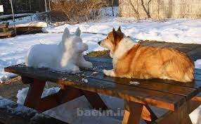 Image result for ‫دیدنی ها‬‎