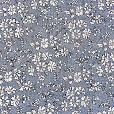 Image result for chambray