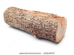 Znalezione obrazy dla zapytania log