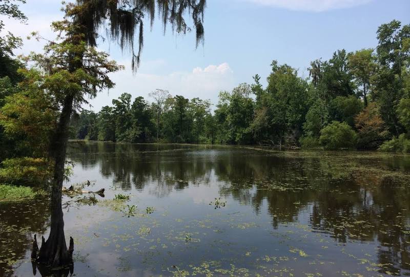 Jean Lafitte National Historical Park and Preserve