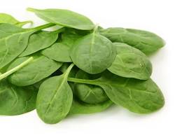 Gambar Spinach