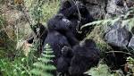 Congo says will open national