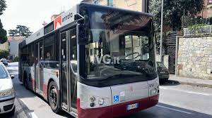 Trend Google: ivg.it