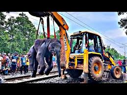 Elephant Accident by Train in Jhargram - YouTube