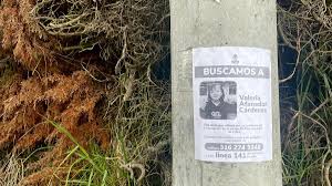 El Espectador - News update