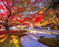 雷山千如寺大悲王院の画像