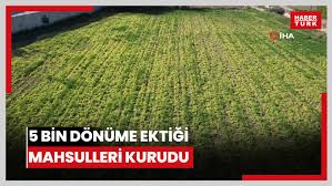Habertürk - News update