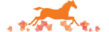 Image result for horse image of thanksgiving