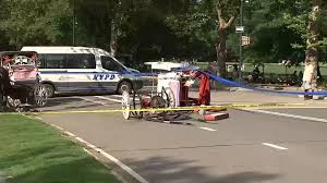 Central Park carriage horse gets loose, killing 18-year-old tourist visiting NYC