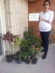 Image result for ehsq nagarjuna group