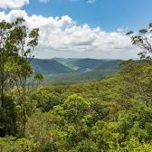 Lamington National Park