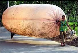 Картинки по запросу мешок ворует