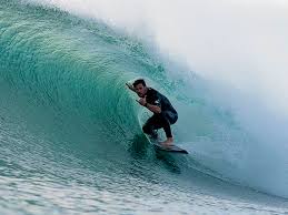 SURFER Magazine - News update