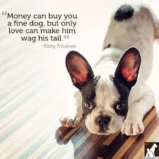 11 Quotes for the Love of Dog (or Cat) - http://www.homesalive.ca ... via Relatably.com