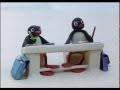 Bilderesultat for Pingu Official YouTube Channel