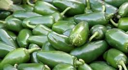 Image result for Jalapeño