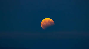 Trend Google: mondfinsternis
