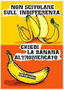 Banane equosolidali