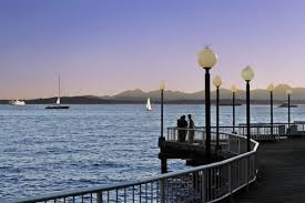 [صورة: images?q=tbn:ANd9GcRdxsDeuCl7joMkhPlIbxY...3jVgUSuZNh]