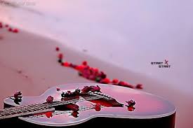 ���� ���� ������ �� ���� ������